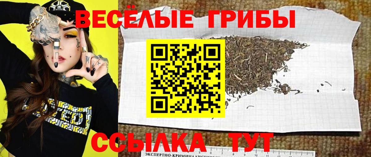 Луховицы  Псилоцибиновые грибы MAGIC MUSHROOMS  Вход с VPN 